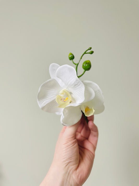 ‘Angelica’ Boutonniere (double)