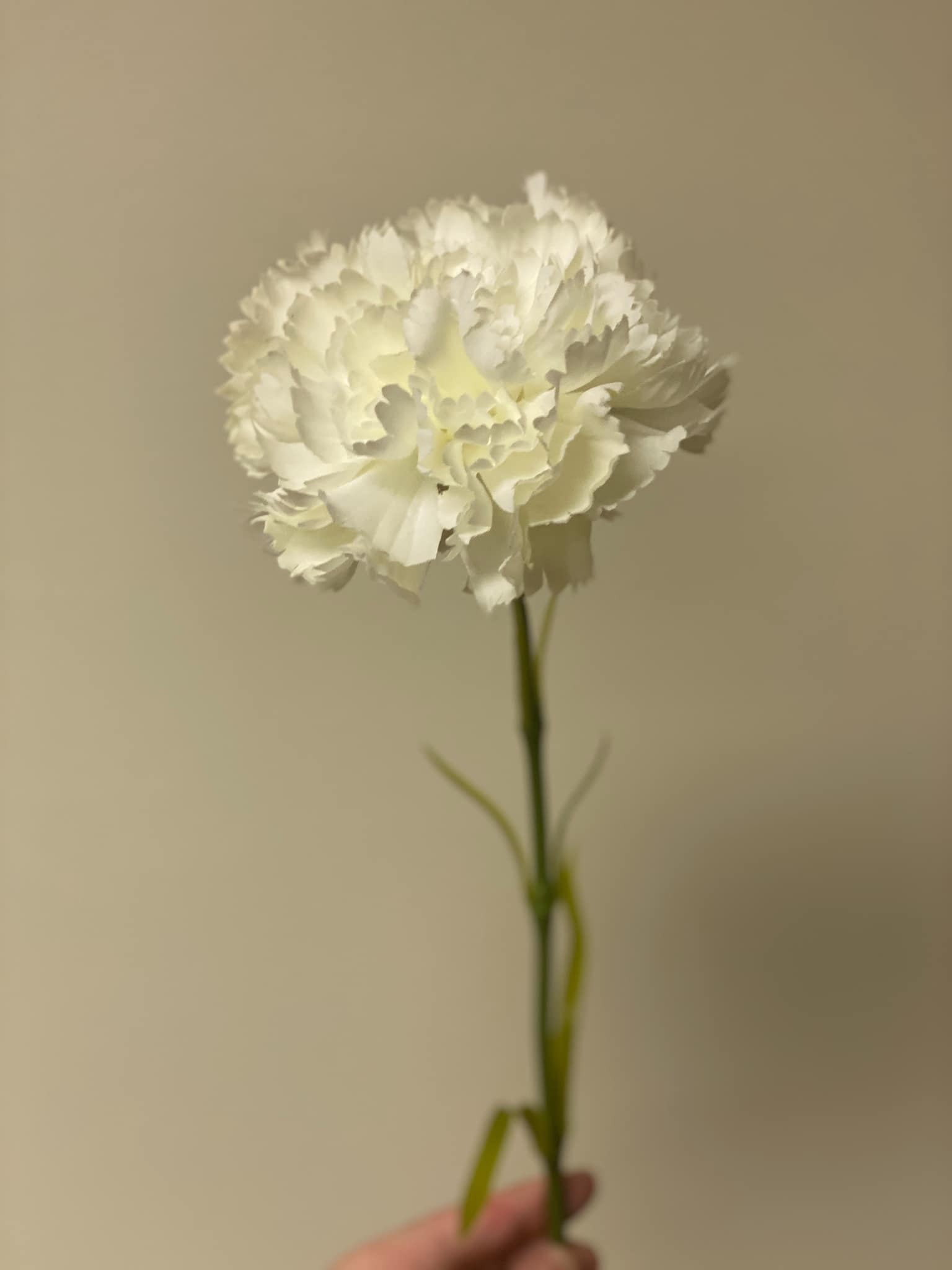 Artificial ivory white carnation stem long