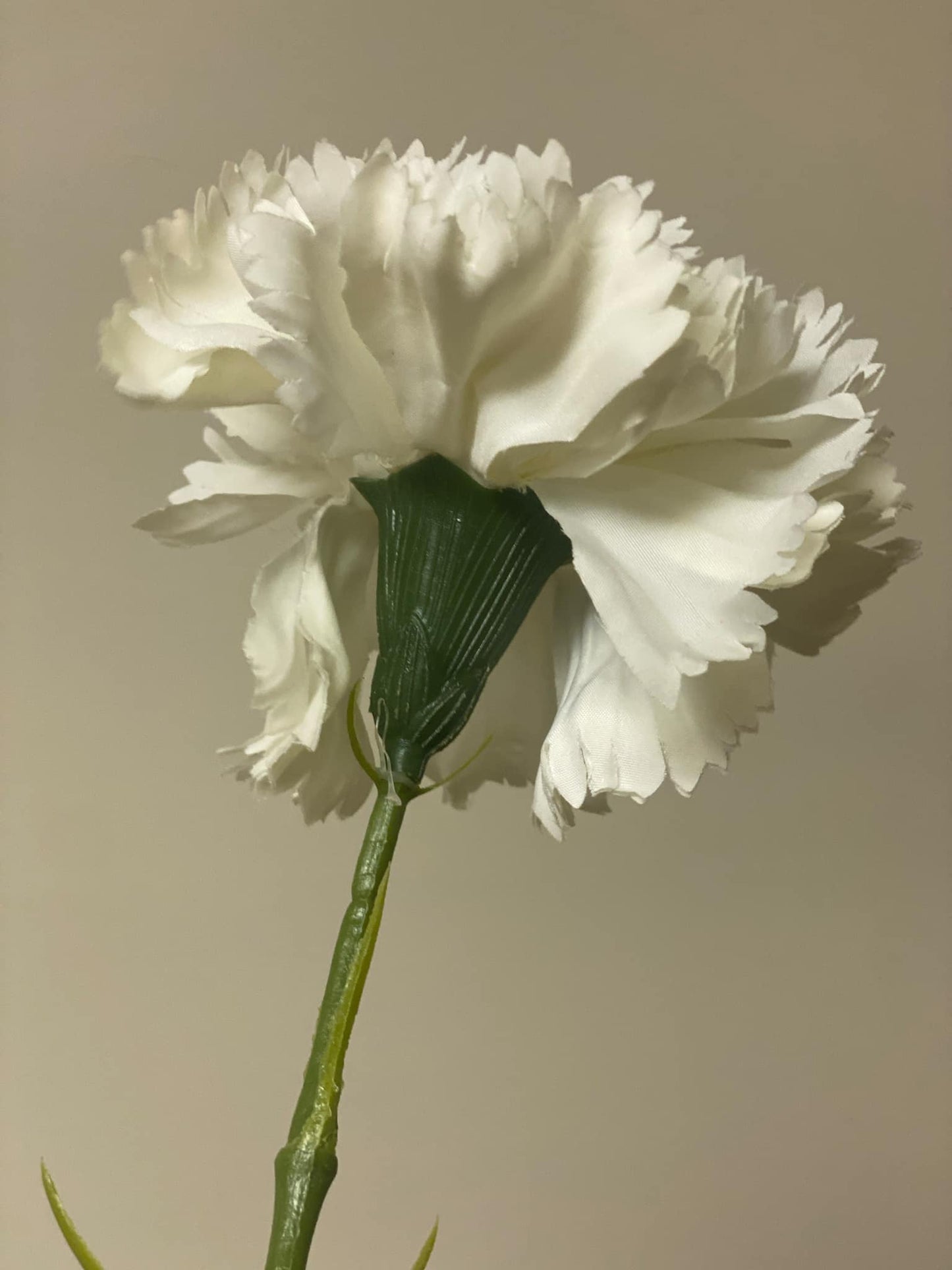 Artificial ivory white carnation stem back