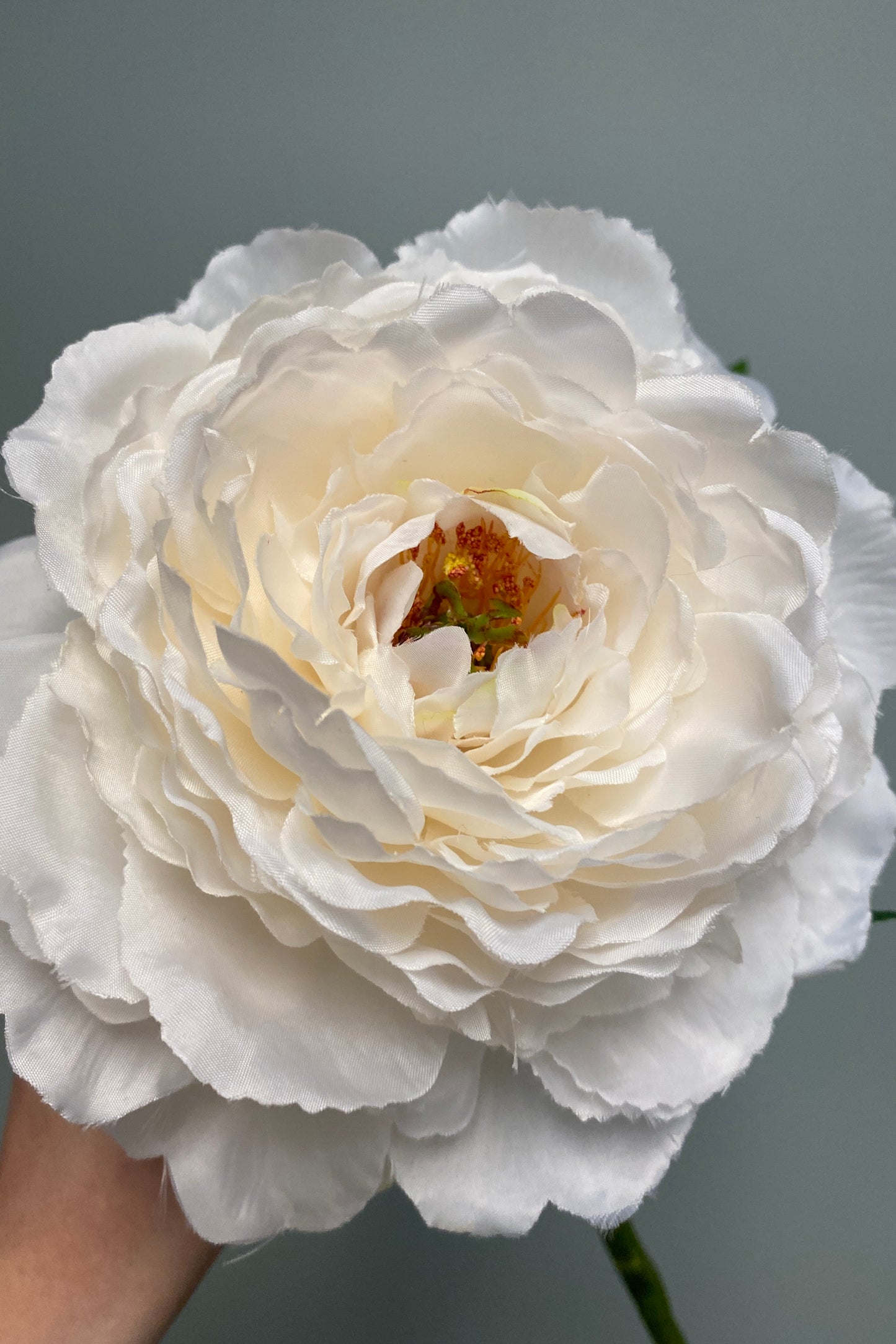 Open Peony Stem - Cream