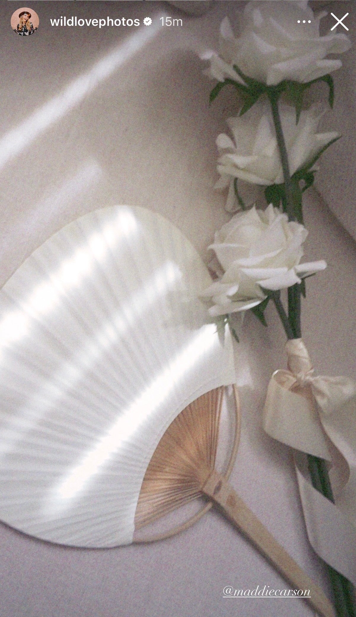A white pleated folding hand fan with a light wood handle lies on a light beige surface beside white roses and a cream ribbon bow. Strong diagonal sunlight creates bright highlights across the fan and flowers.