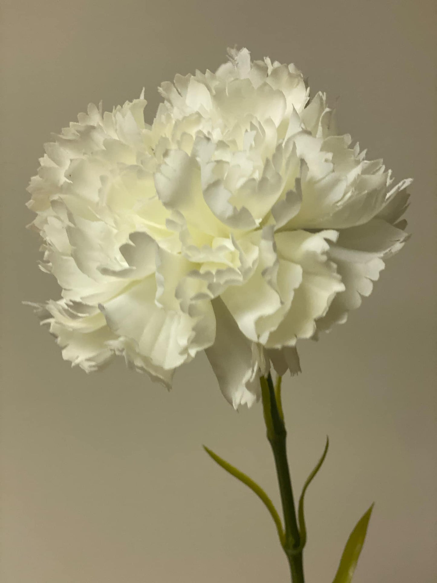 Artificial ivory white carnation stem